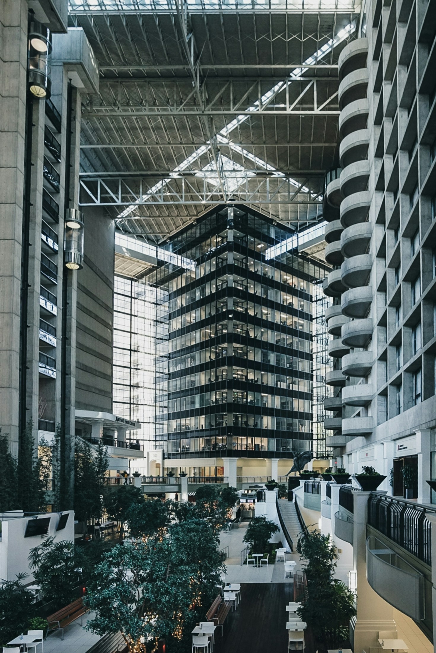 Old Capital Meets New Economic Momentum
